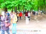 巴黎城堡骑马一日游