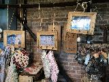 荷兰赏花-德累斯顿、耶拿3日线