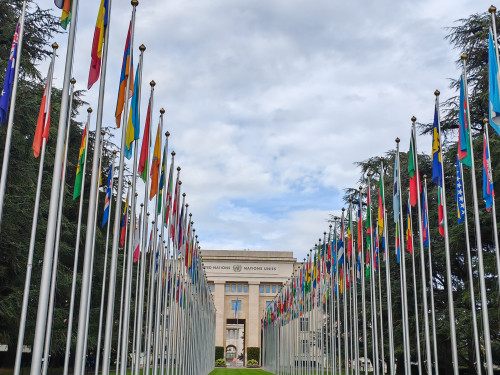 【经典热卖】爱的迫降同款•湖光山色瑞士四天精选