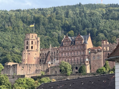 别样西欧▪德国荷兰比利时法国瑞士五国8日之旅【精致中文小团】< 法兰克福上下>