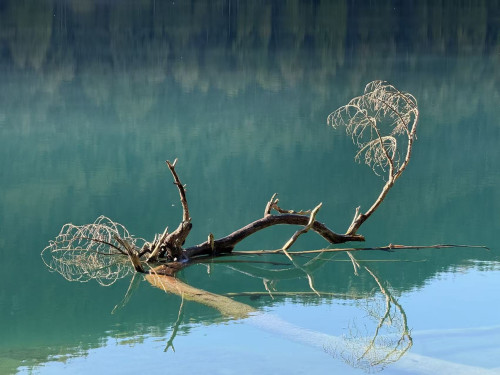 【经典热卖】感受意大利