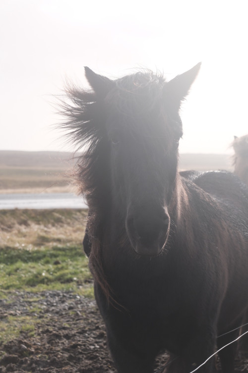 【优品甄选】冰与火之歌，冰岛六日五晚深度游