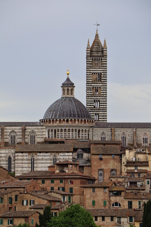 意犹未尽意大利7天6晚深度游