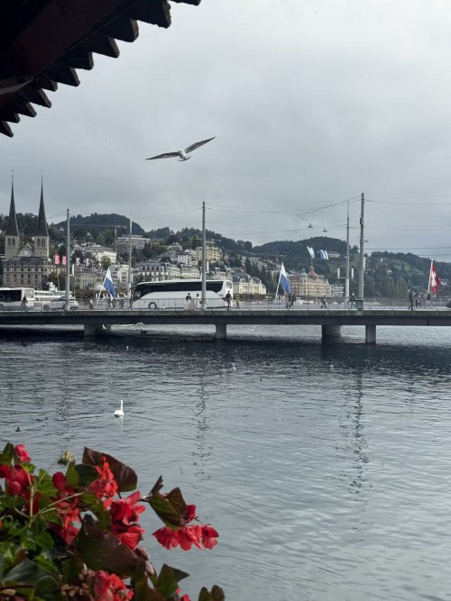 意大利南法循环线