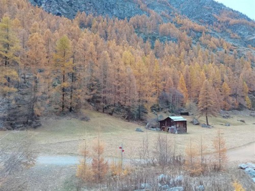 【优品甄选】一国深度 瑞士雪国金色快车6日之旅