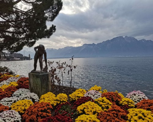 【优品甄选】一国深度 瑞士雪国金色快车6日之旅