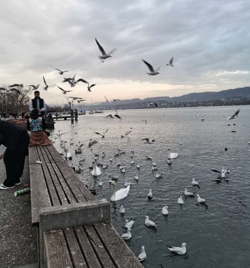【优品甄选】一国深度 瑞士雪国金色快车6日之旅