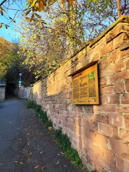 遍游西欧风情6日深度游（巴黎往返·荷比卢德法五国六日游）