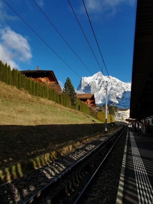 【优品甄选】一国深度 瑞士雪国金色快车6日之旅
