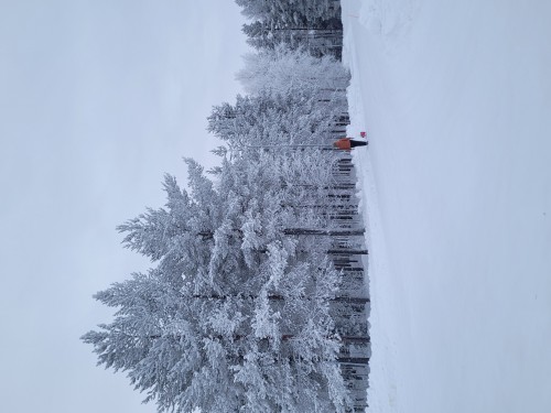 7日纵贯拉普兰极光破冰之旅•芬兰圣诞老人村|破冰船|帝王蟹之旅|狗拉雪橇|雪地摩托追极光|极地VR列